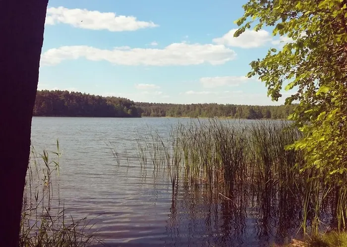 乡村民宿 Dom W Puszczy Noteckiej